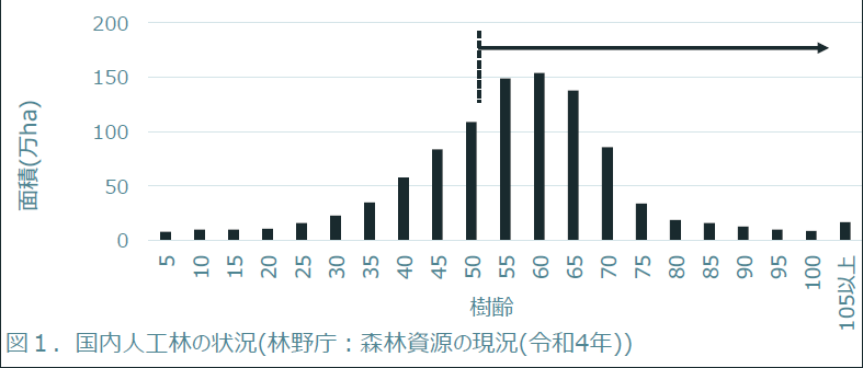 Source: Forestry Agency, Overview of Forest Resources (2022)
